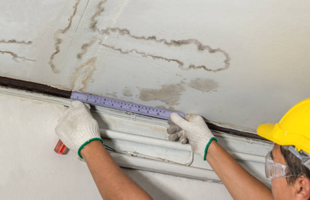 Reliable Burst Pipe Cleanup contractor in Peytona, WV by Water Damage Irwin